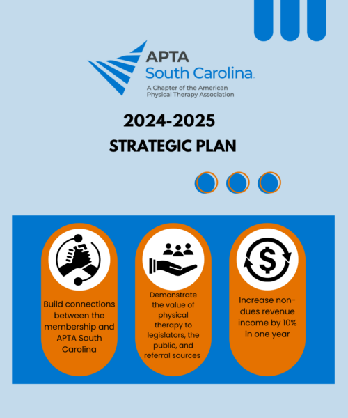 2024-2025 strategic plan SC