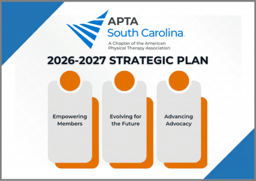 APTA SC strategic plan 2026-2027